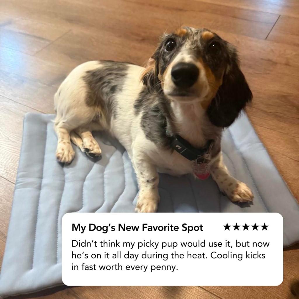 Dog Cooling Mat