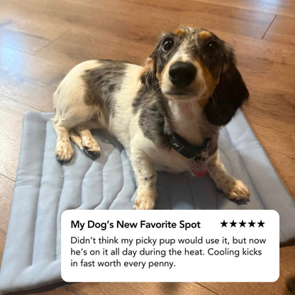 Dog Cooling Mat