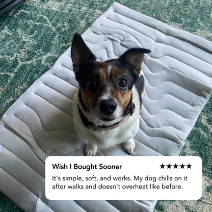 Dog Cooling Mat